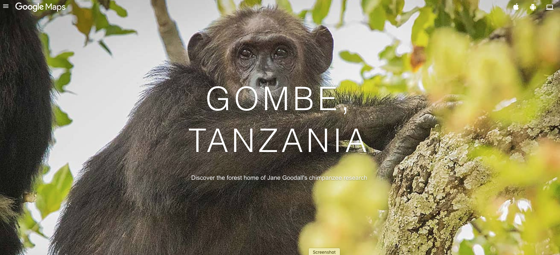 Gombe, Tanzania